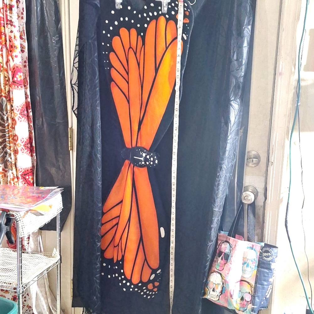 Butterfly wings